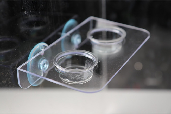 NRC 2구 아크릴 흡착형 크레스티드게코 먹이그릇, 1개