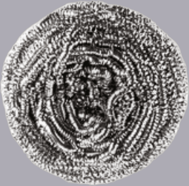 암웨이 스크럽버즈 철수세미, 암웨이 스크럽버즈/철수세미, 1개, 1개