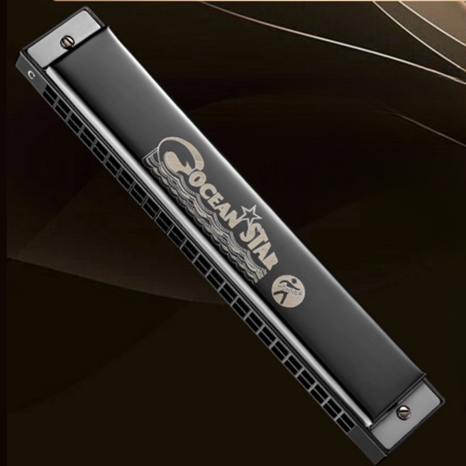 독일 호너 HOHNER 24홀 트레몰로 복음 C키 입문 전문 연주용 하모니카, 블랙
