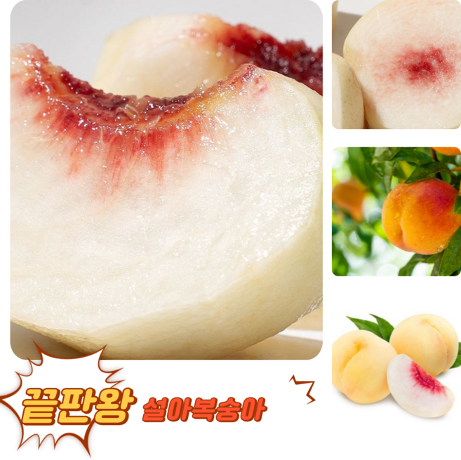 [굿피플] 고당도 설리 설도 설아복숭아 설도복숭아, 1개, 가정용 설아복숭아 900g (3-4구)
