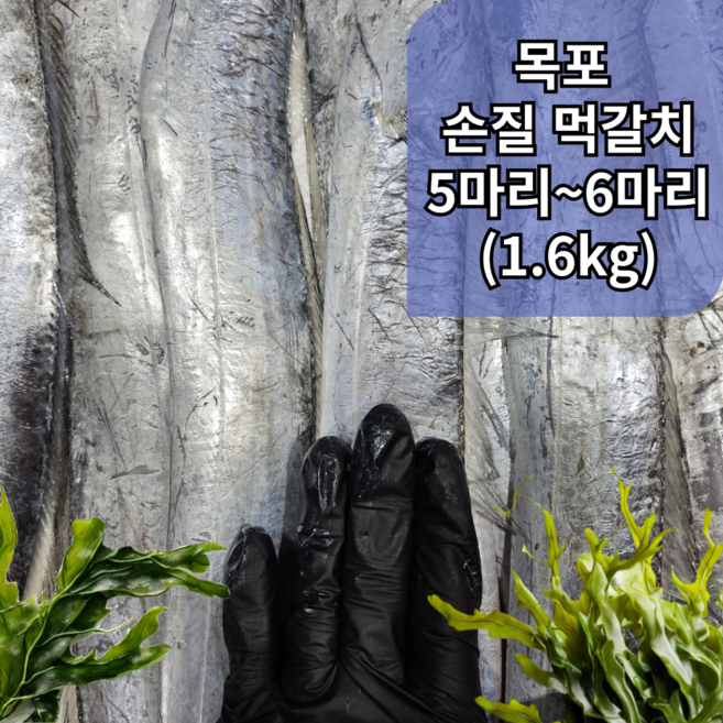 [먹갈치] 가정용먹갈치 목포직송 생물 5~6마리 머리꼬리 손질후 1.4키로, 1개, 먹갈치 6~8미(손질 후 1.8.kg)