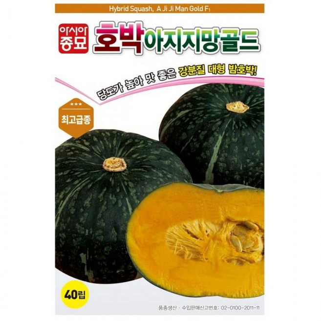 아지지망골드 40립 씨앗