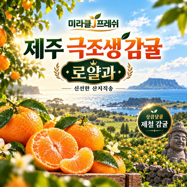 [재구매율1위] 하루30박스한정 고당도선별 제철 제주 극조생감귤로얄과, 1박스, 2kg