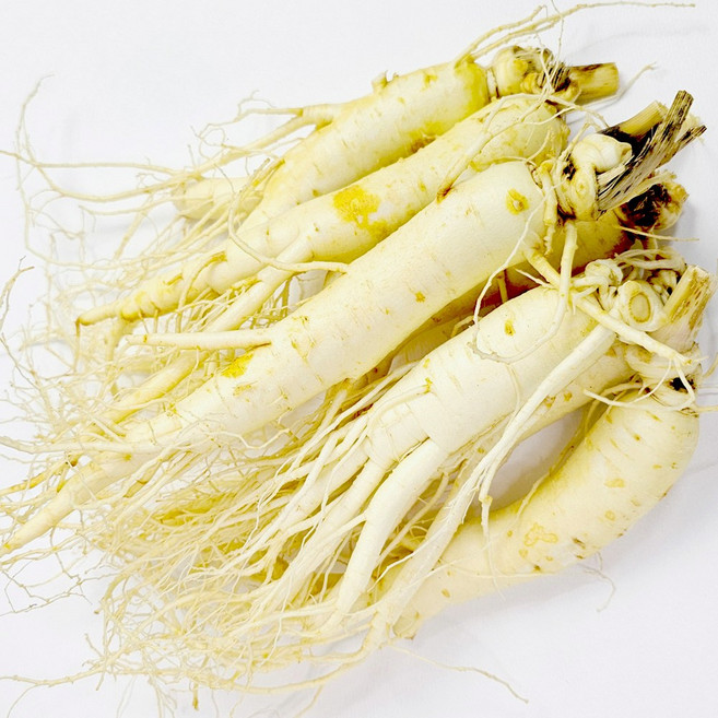 더굿진생 6년근인삼 수삼 금산인삼 원수삼, 1개, 세척인삼 특대700g(9~11뿌리)