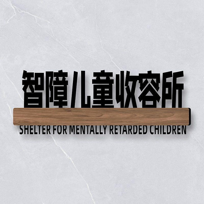 無品牌 宿舍寢室門牌 搞笑搞怪牌子貼 創意個性DIY, 智障兒童收容所,25x10cm