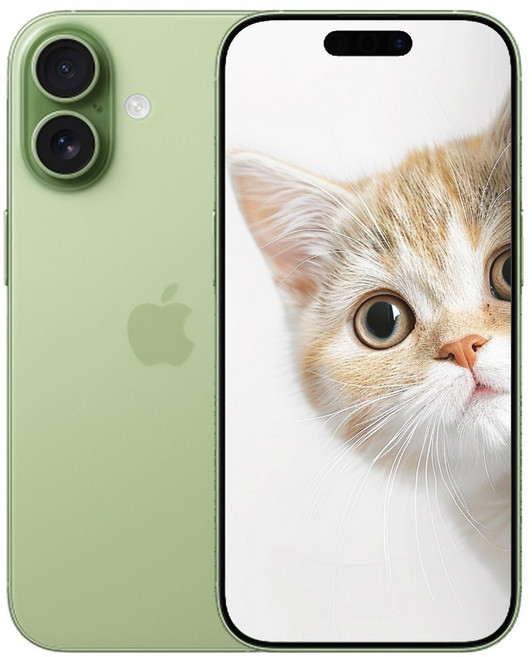 i폰17 새상품 미개봉, 256GB, Sage