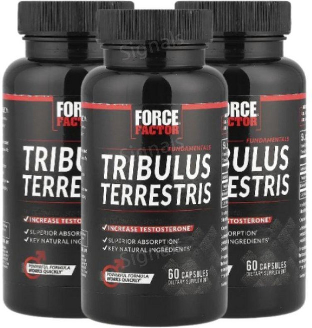 포스팩터 트라블러스 테러스트리스 테스토스론 부스터 60 캡슐, 3팩, 60정
