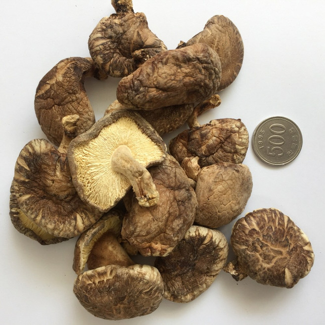 [표고아빠]참나무원목재배 국산 말린 건표고버섯[막소립] 200g 육수/분말용 버섯차 버섯물 잡채재료 천연조미료, 1개