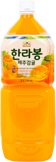 북안동농협 한라봉제주감귤, 1개, 2L