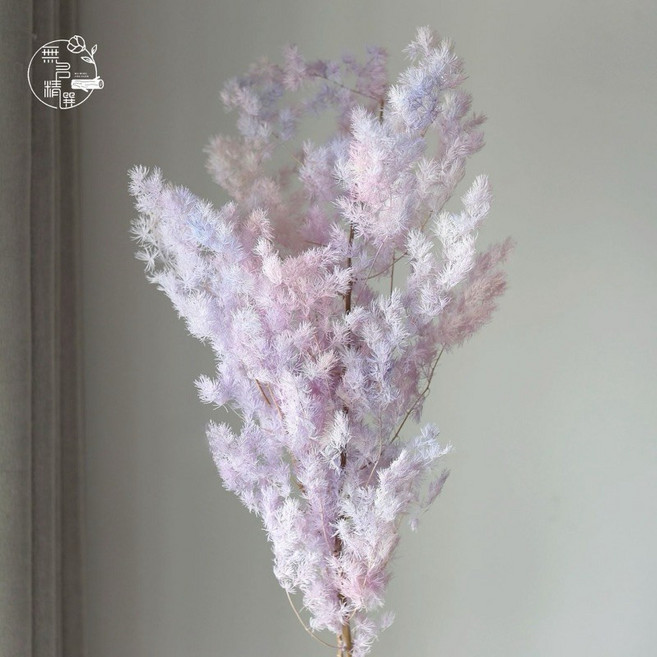 無聊花藝 大把乾燥花束 星辰 滿天星 情人草 卡斯比亞 蓬萊松 居家裝飾 節慶禮物, 大把 蓬萊松/人魚色/80克