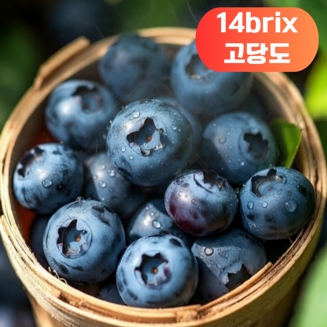 [14brix고당도]국산 유기농 생 블루베리, 1박스, 300g