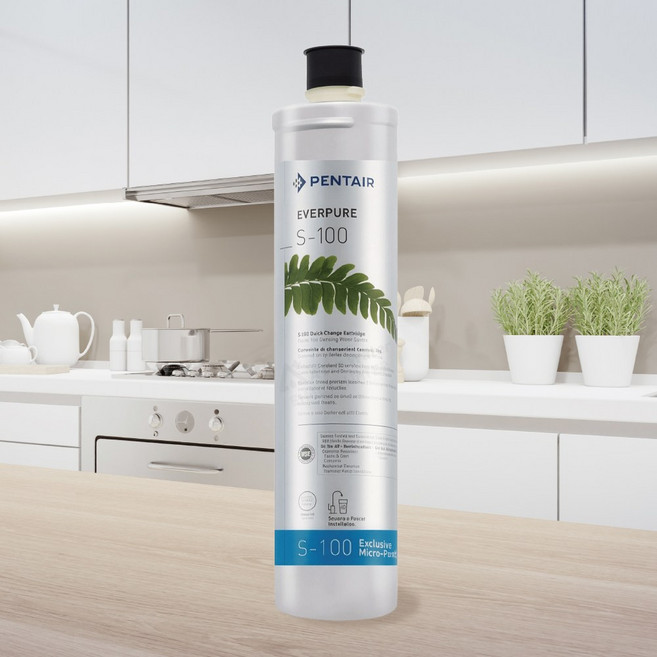 EVERPURE S100濾心 原裝進口, 無保固, 1個, 單入裝(售出無保固