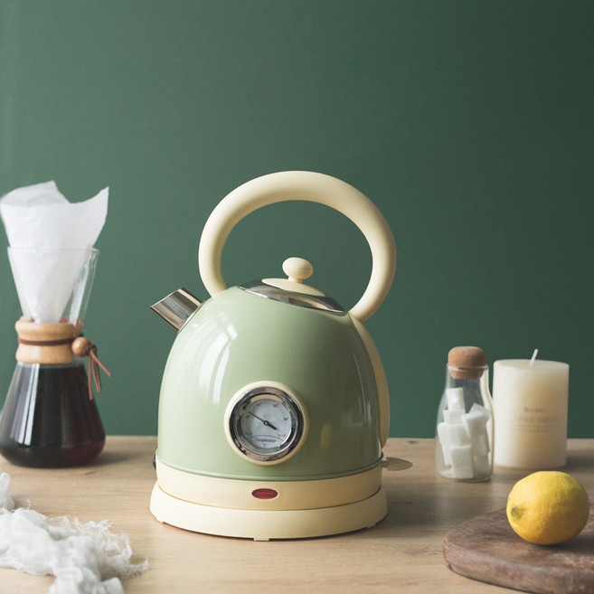 SunburstWonder 페인팅 레트로 전기포트 Y143, 그린