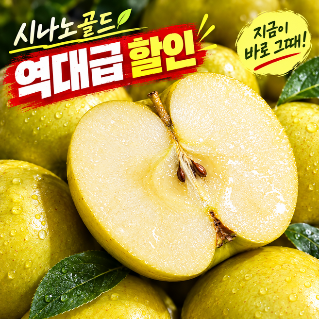 [수량한정] 시나노골드 사과 황금사과 가정용, 1박스, (고당도) 5kg 중과 _ 오늘특가