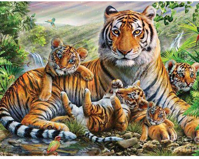 엠제이에스 명화그리기 50x40cm (캔버스형) DIY 유화 세트, KK24 - 호랑이가족, 1개