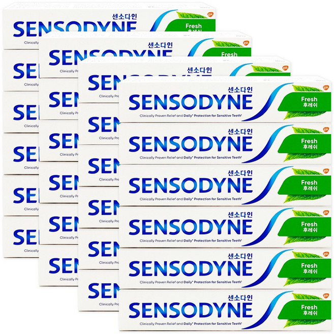 센소다인 후레쉬 치약 민트향, 100g, 24개