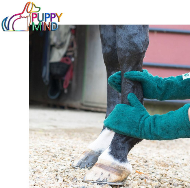 퍼피마인드 강아지 목욕가운 목욕타올 배스드롭 그린컬러 강아지옷, 그린, 1개