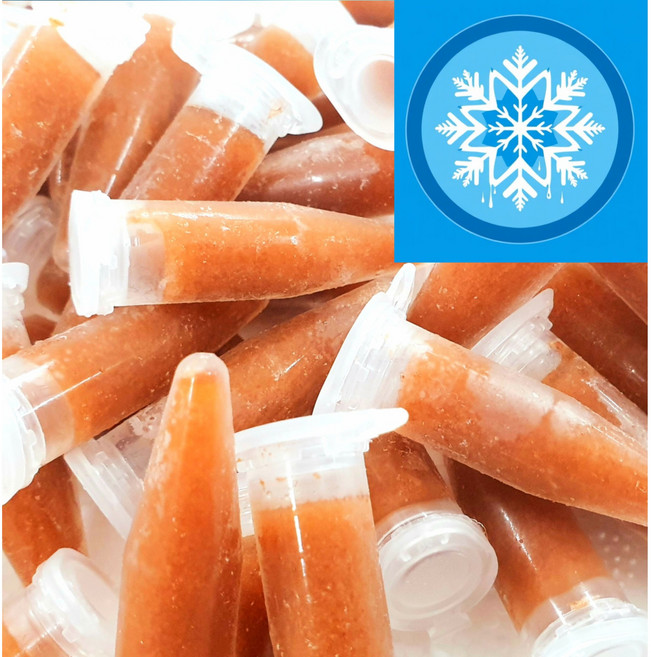 가우스 브라인쉬림프 튜브 50개 (열대어 구피먹이 한국 중국 홍콩 특허 냉브) 냉브 브라인슈림프