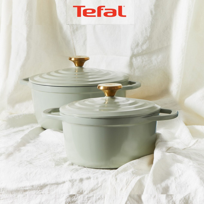 테팔 인덕션 에어 주물냄비 페어그린 2종(양수20+24), 1세트, 양수20+24