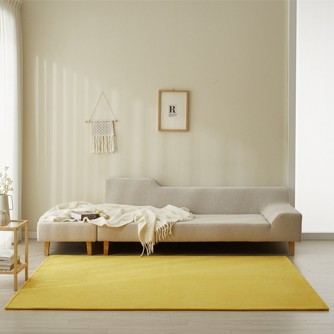 베러홈 먼지없는 사계절 소프트 카페트 러그