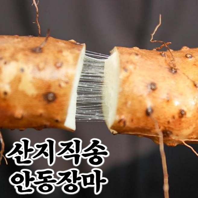 방송출연장인] 마 장마 참마 안동마, 1박스, 1kg 장마 알뜰