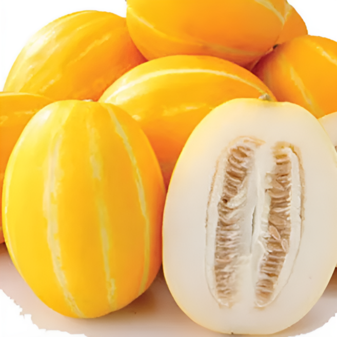 {산지직송}꿀벌재배 성주 참외 특품 혼합과1박스, 1개, 가정용혼합과10kg