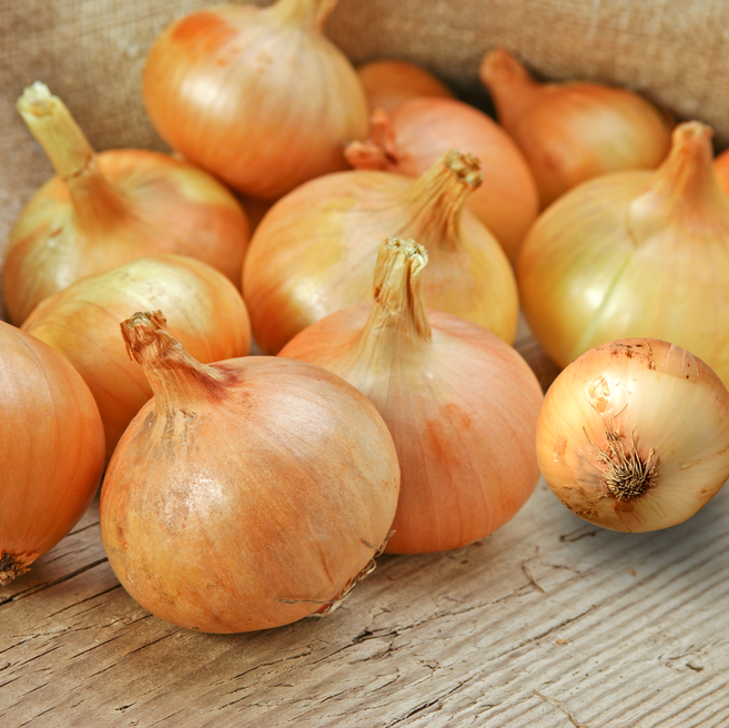 국내산 햇 양파 무안 양파, 1개, 1kg (중)