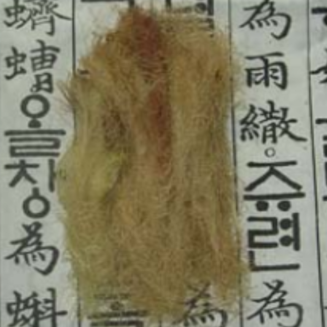 (CG소망)자연농 장연대학찰옥수수수염 200g 충북 괴산, 1개