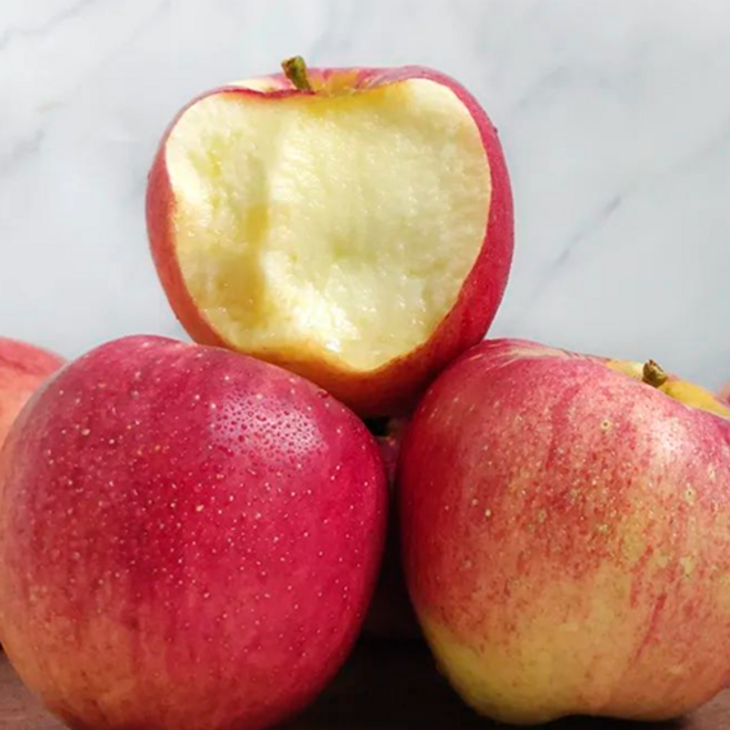 재구매율1위 햇 부사 예산 사과 저장성끝판왕, 1박스, 5kg 정품