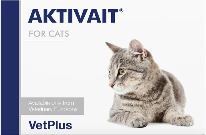 포베츠 액티베이트 캣(AKTIVAIT CAT) 60캡슐, 종합영양제, 단품, 1개 - 쿠팡