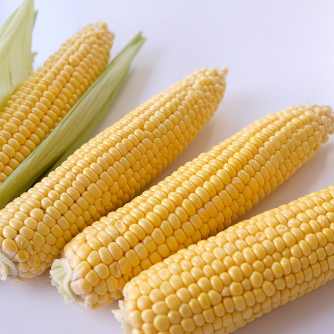 우주상사 찐 강원도옥수수 초당 옥수수 강원도 진초당옥수수 농장직송, 1개, 특 50개