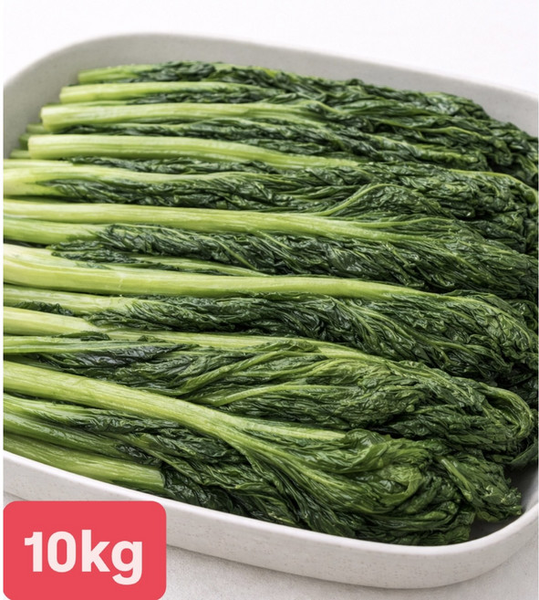 [여수진이네] 당일제조 국내산 돌산갓 여수돌산절임갓, 10kg, 1세트