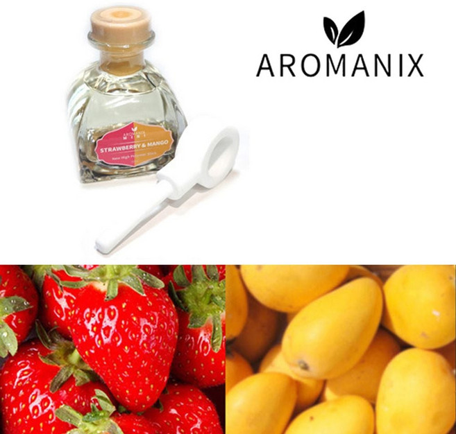 아로마닉스 차량용 방향제 디퓨저_딸기망고향_50ml dok+077KP