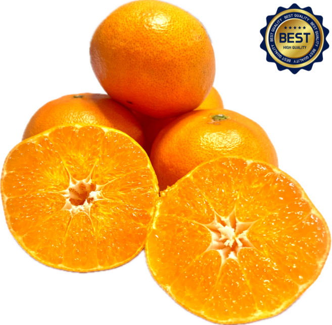 [한정수량] 정성가득팜 고당도 가정용 레드향 산지직송 제주 레드향 중과, 1박스, 5kg