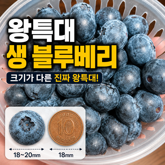 [고당도] 국내산 생 블루베리 대과 왕특대과, 1박스, 왕특대과 600g