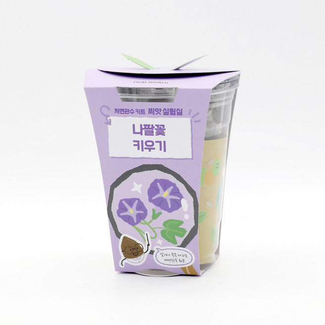 저면관수화분 관리가 쉬운 식물키우기 나팔꽃 어린이재배체험 베란다텃밭 원예체험