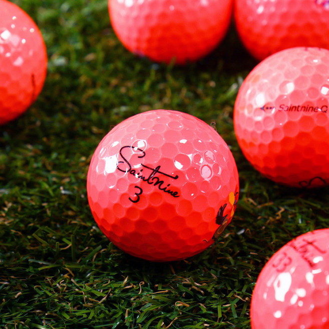 세인트나인 로스트볼 A급 30개, 1세트, PINK A급+스코어카드, 30개입