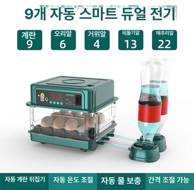 로이타 부화기 도마뱀알부화기 온도조절 계란부화기, 1개, 9알 이중 전원