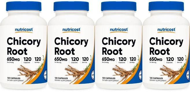뉴트리코스트 치커리 뿌리 650mg, 120정, 4개 - 쿠팡