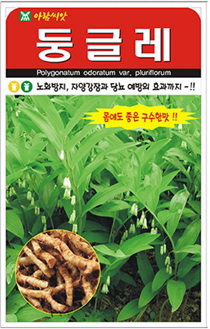 [팜앤리빙] 둥글레 씨앗 20립, 6개