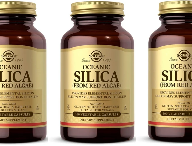 해양 실리카 홍조류 추출 Solgar 베지 캡슐, 3개, 100정 - 쿠팡