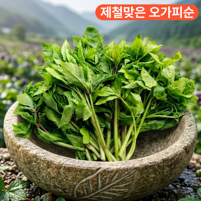 [한정수량] 국산 오가피순 오가피순나물 오갈피순, 500g, 1개