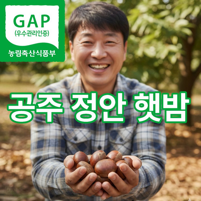 더맛곳간 공주 정안 햇 생 밤 국산 알밤 대, 1개, 2kg