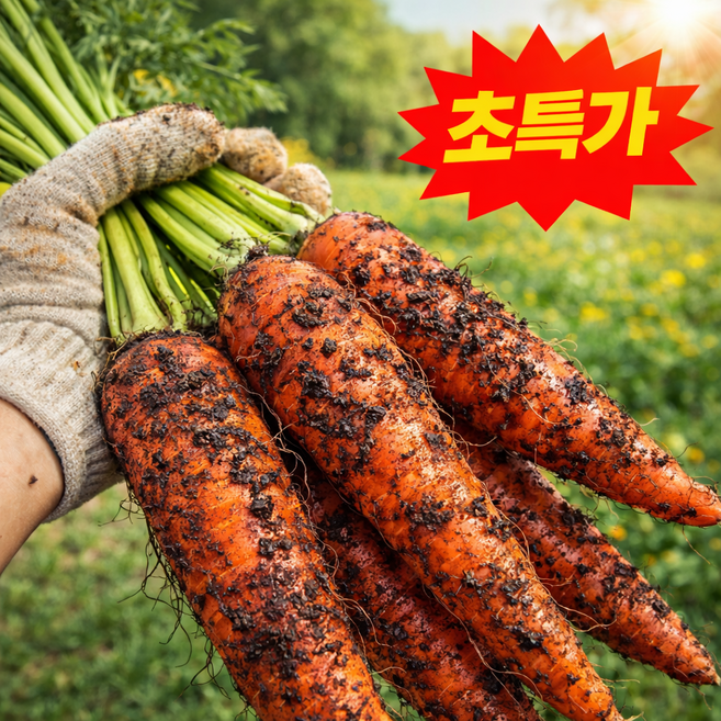 [선착순초특가] 재구매율1위 산지직송 흙당근 제주구좌당근, 1박스, 5kg(왕)