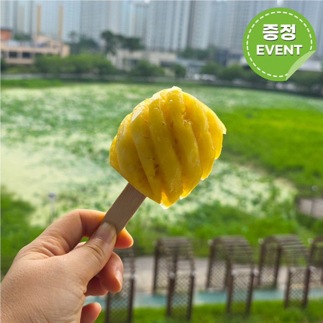 [태국과일]태국 직수입 프리미엄고당도 치앙라이푸레 미니 파인애플 푸레바70g, 1개, 70g