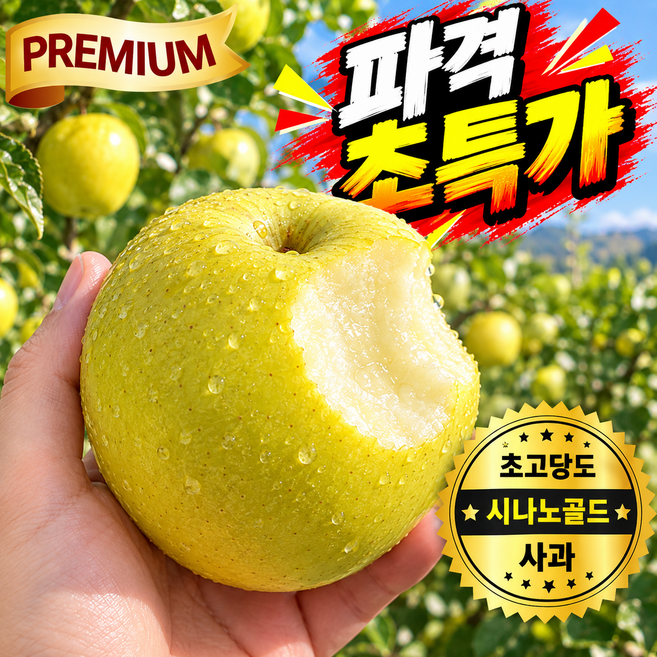 [한정특가] 초고당도 시나노 골드 PREMIUM 황금 사과 산지직송, 1박스, 2kg