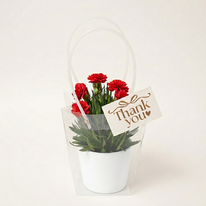 [가정의달] 어버이날 카네이션 화분 선물세트 (심플리+메시지카드+쇼핑백 풀구성), 1개, 카네이션 레드 & 화분 화이트