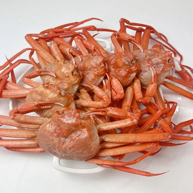 [홍게전문가] 수율90% 초고수율 박달홍게 선주직송, 1박스, 3kg (초고수율 박달홍게 9~11미) 수율90%