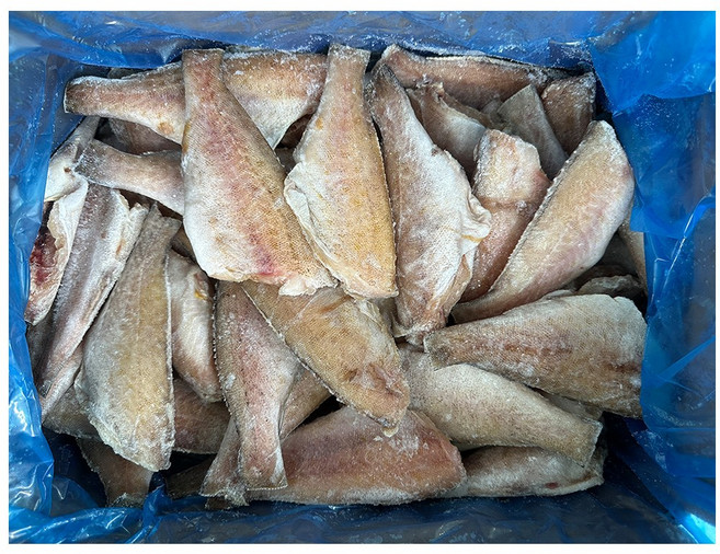 힘찬푸드 냉동 손질 능성어, 1박스, 10kg