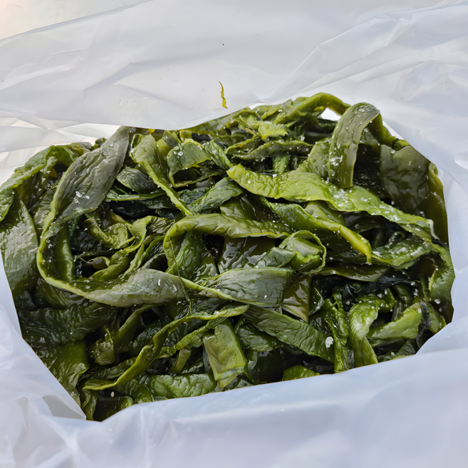 완도 염장 초사리 미역 통줄기, 1개, 2kg